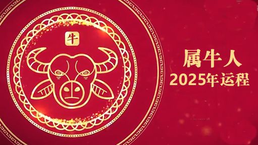 麦玲玲2025年属牛人运程及开运大法