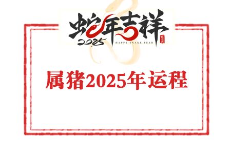 苏民峰2025年生肖属猪的人运势及运程详解