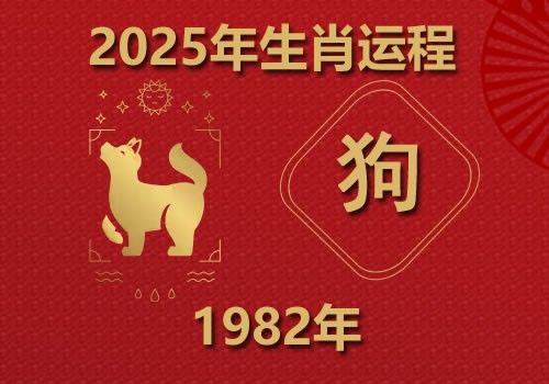 1982年属狗人2025年全年运势(今年多大)-第1张-生肖文化-玉仓库