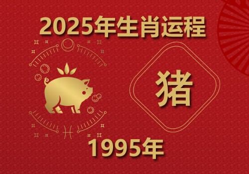 1995年属猪人2025年全年运势(今年多大)