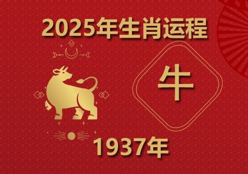 1937年属牛人2025年全年运势(今年多大)