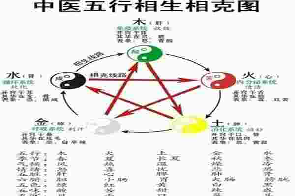 五行与五脏的对应关系图高清图_图表-第2张-民俗文化-玉仓库