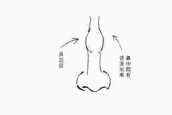 女人鼻梁有节千万不要娶-第3张-民俗文化-玉仓库