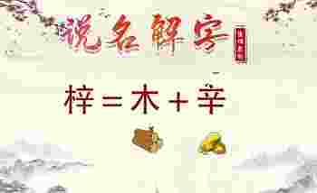 梓字女孩最佳组合名字_梓在名字里的寓意