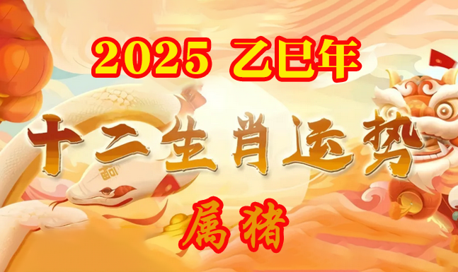 2025年属猪的运程运势_属猪2025运势及运程详解_属猪的人2025年运程