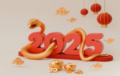 2025年出生的蛇是什么命？